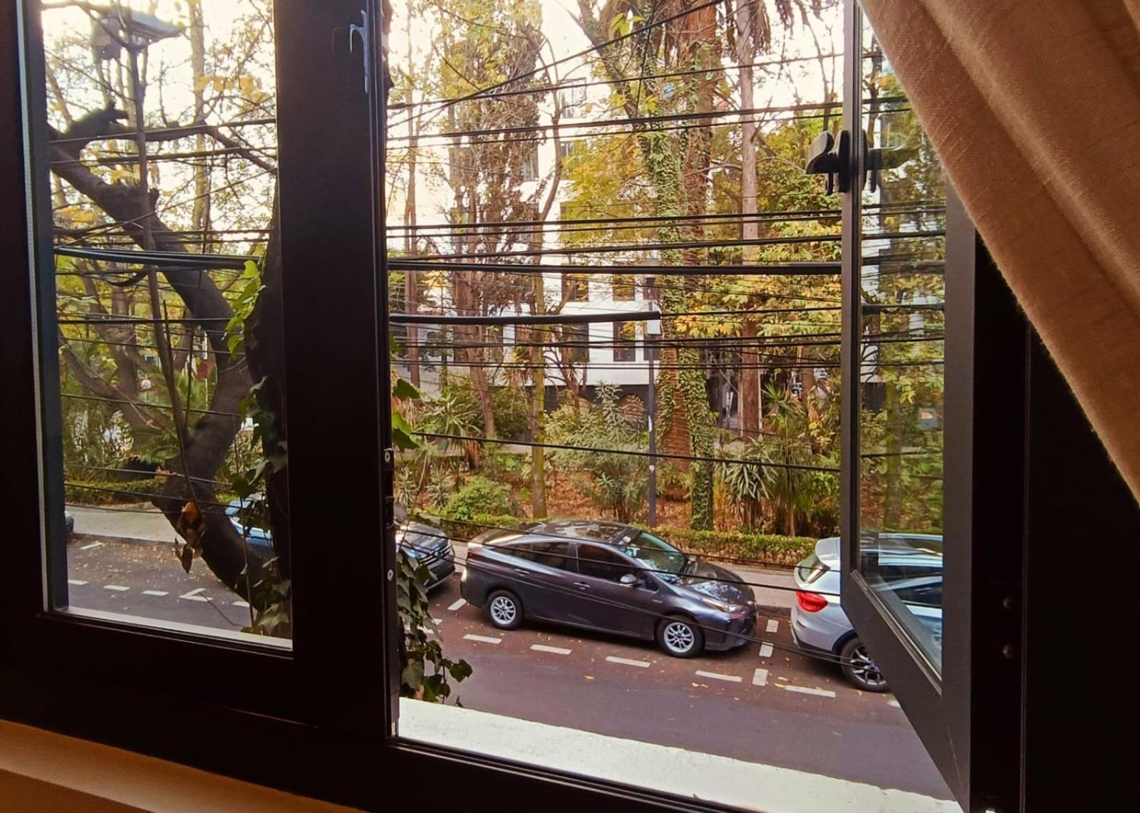 Casa Altata Hotel Boutique Mexico City Exterior photo